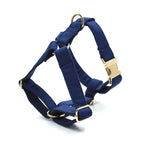 Deep Blue Velvet
