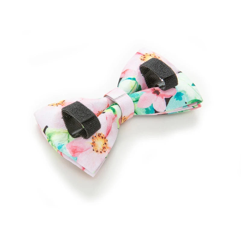 Tropical Floral