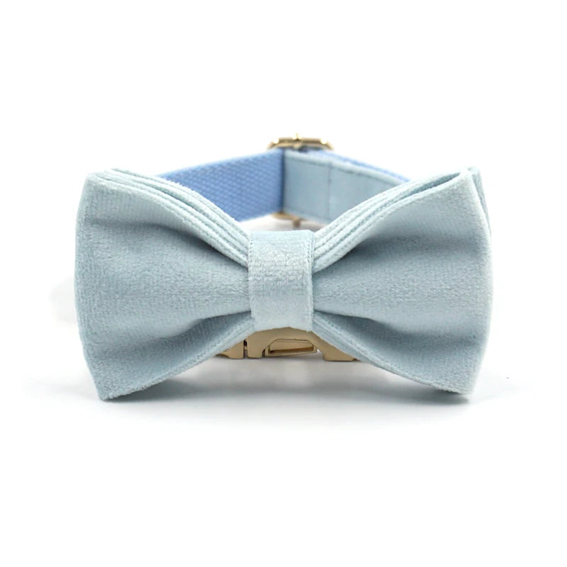 Baby Blue Velvet