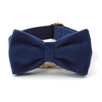 Deep Blue Velvet