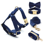 Deep Blue Velvet