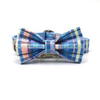 Blue Plaid