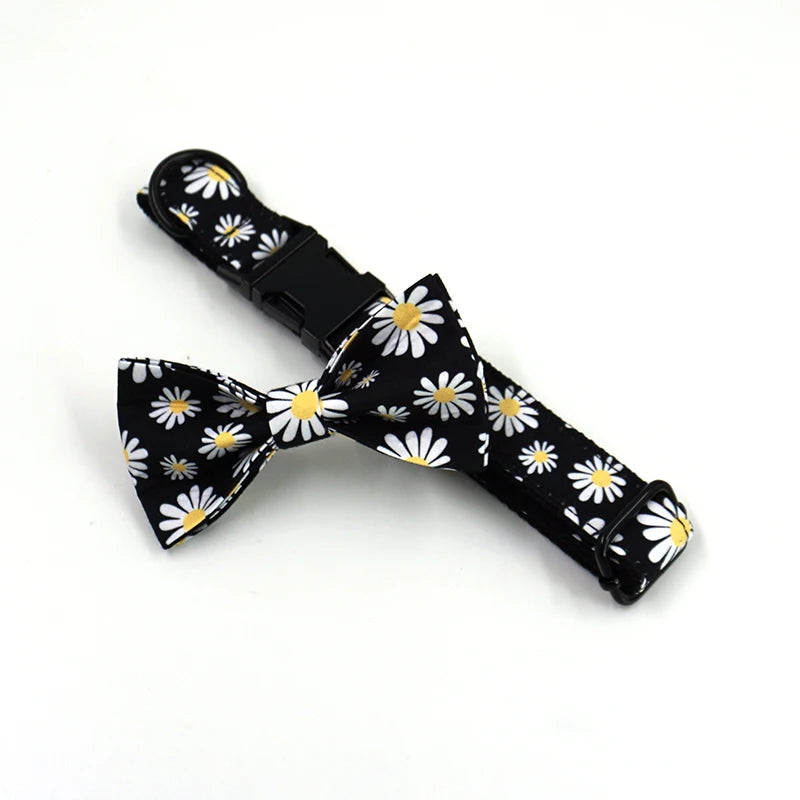 Daisy