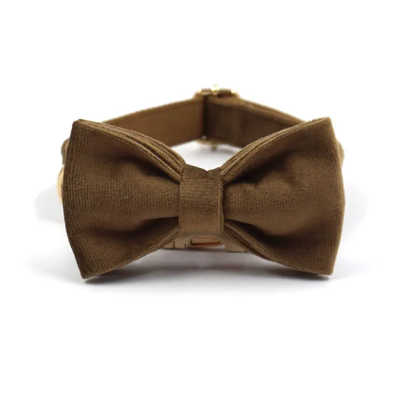 Brown Velvet