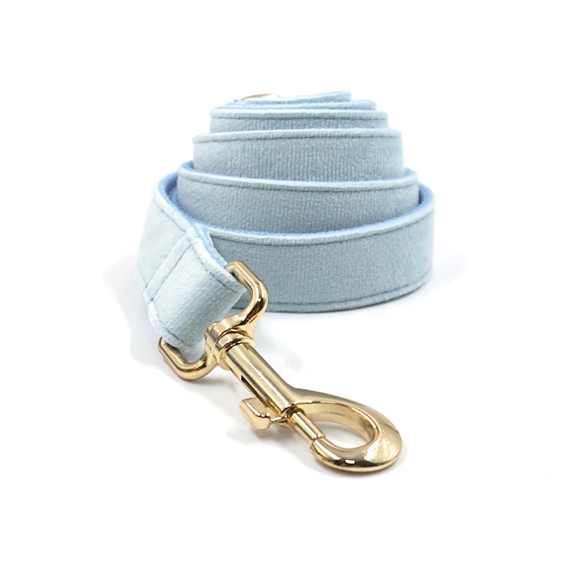 Baby Blue Velvet