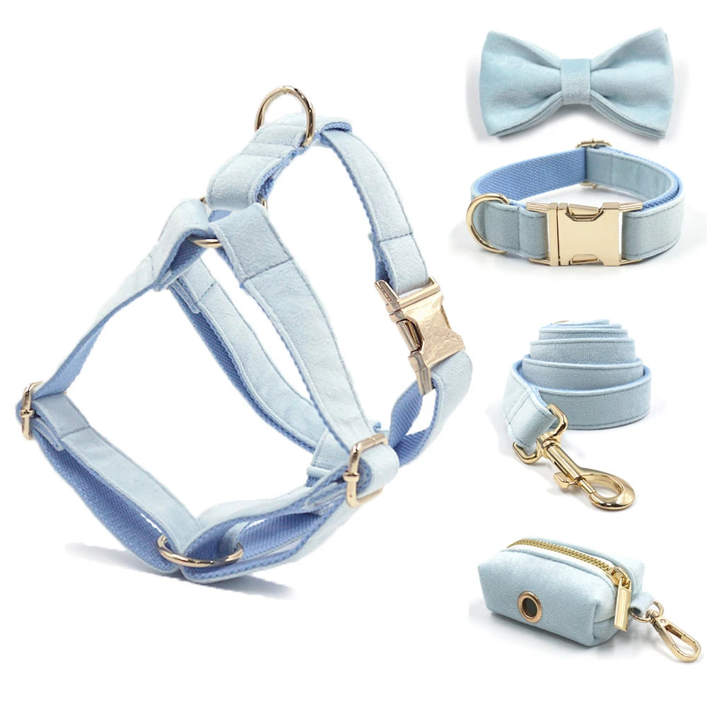 Baby Blue Velvet