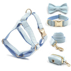 Baby Blue Velvet