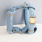 Blue Teddy