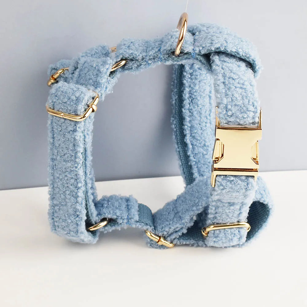 Blue Teddy