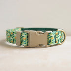 Collars