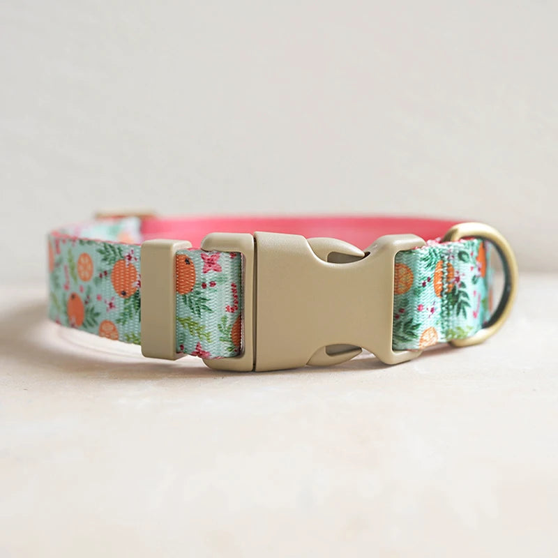 Collars