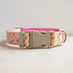 Collars