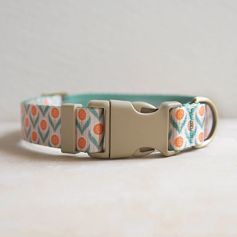 Collars