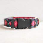 Collars