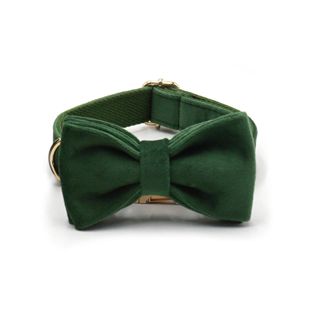 Peacock Green Velvet