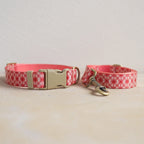 Collar + Leash Sets