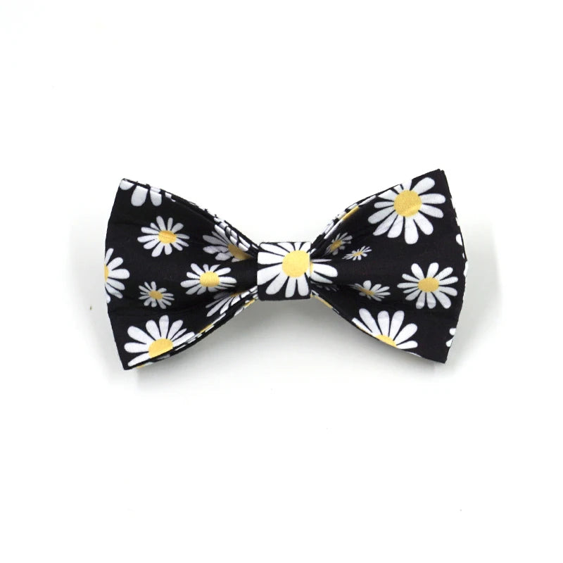 Daisy