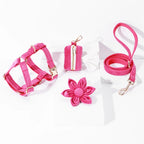 Fuchsia Velvet