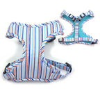 Coastal Stripe