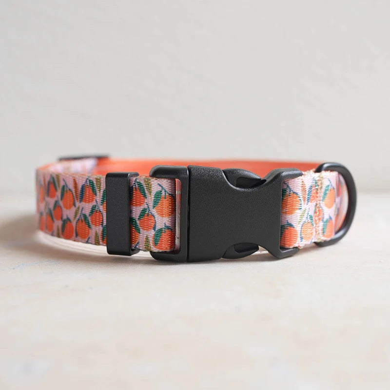 Collars