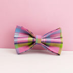 Rainbow Plaid