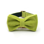 Avocado Green Velvet