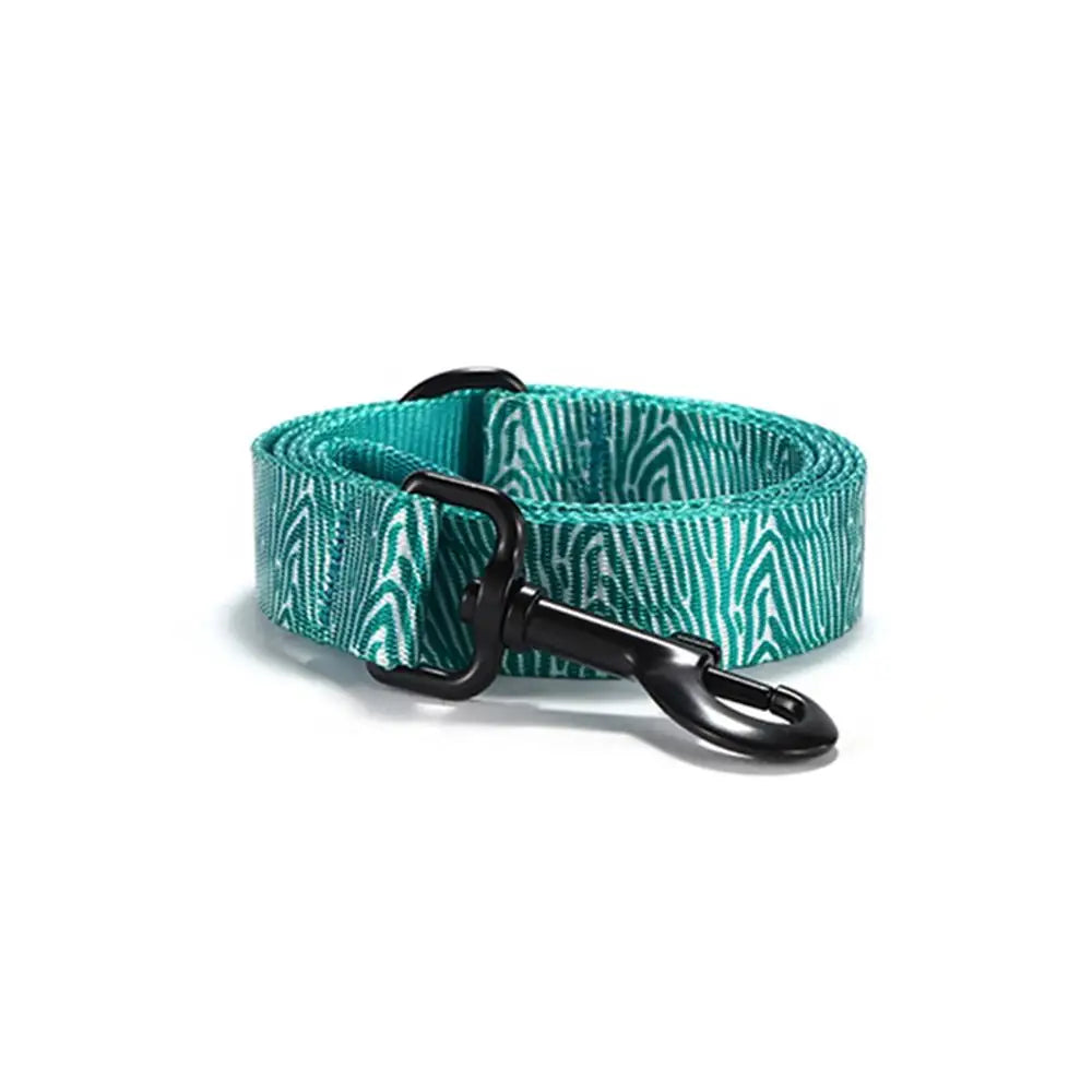 Aqua Zebra