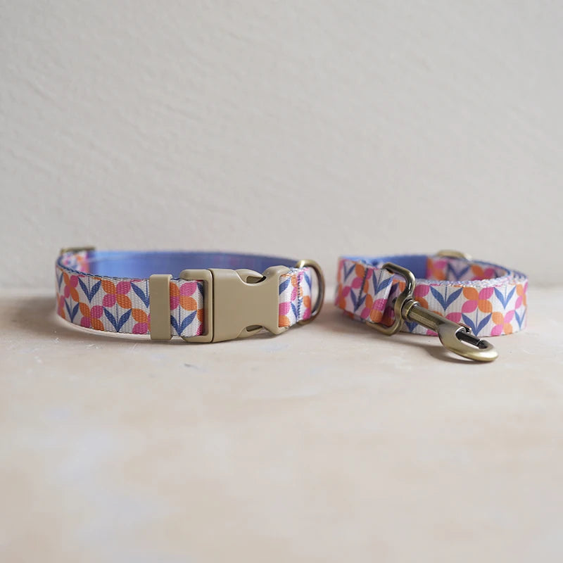 Collar + Leash Sets