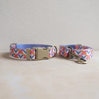 Collar + Leash Sets