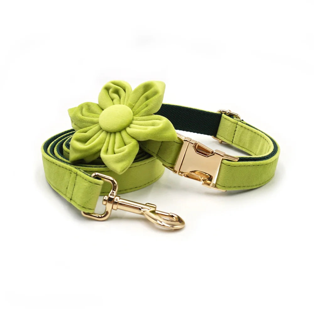 Avocado Green Velvet