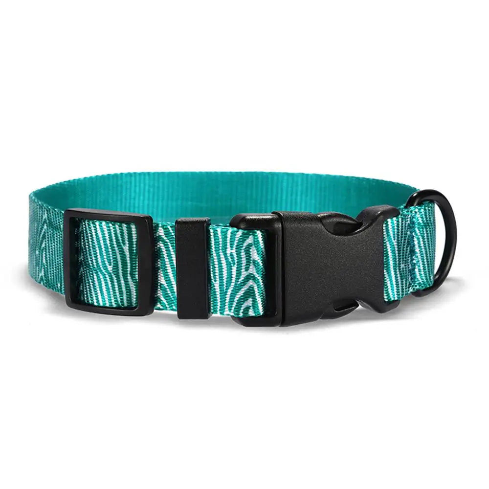 Aqua Zebra