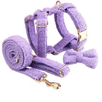 Purple Teddy