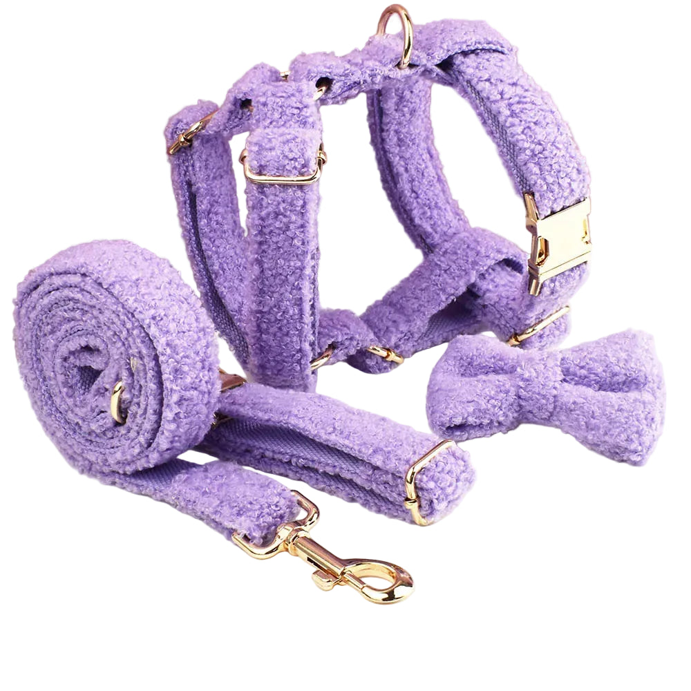 Purple Teddy