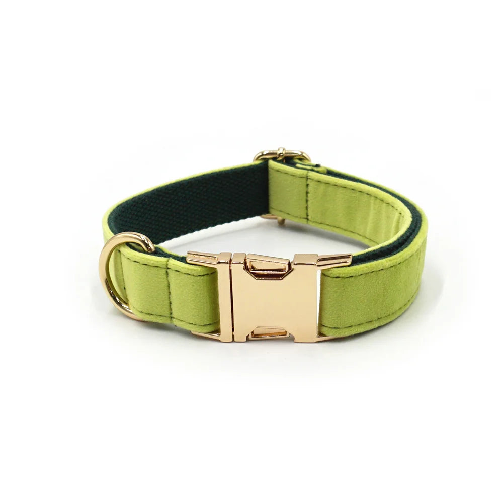Avocado Green Velvet