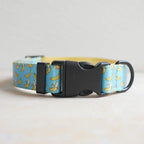 Collars