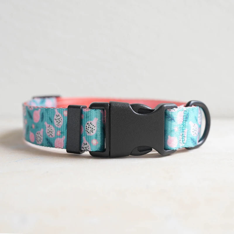 Collars