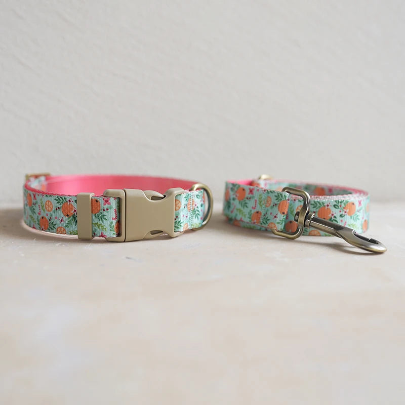 Collar + Leash Sets