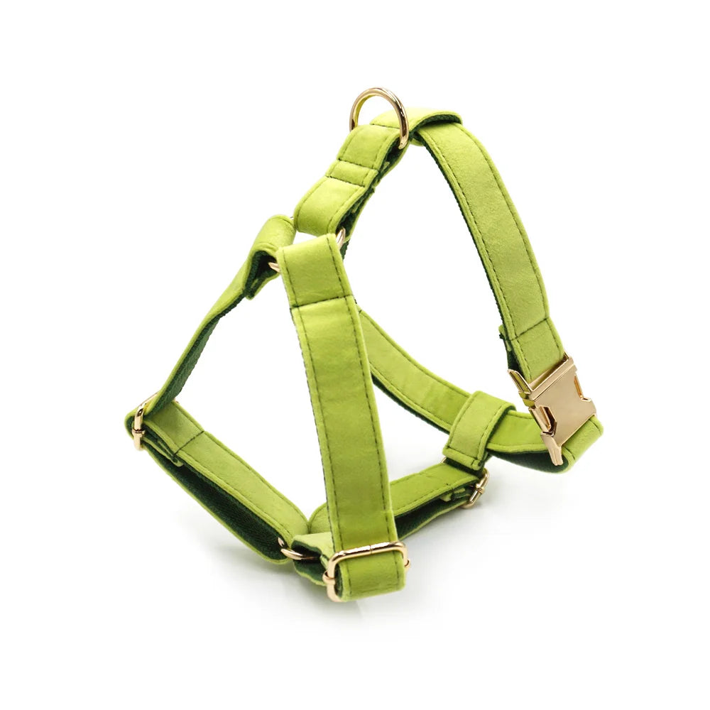 Avocado Green Velvet