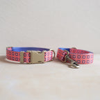 Collar + Leash Sets