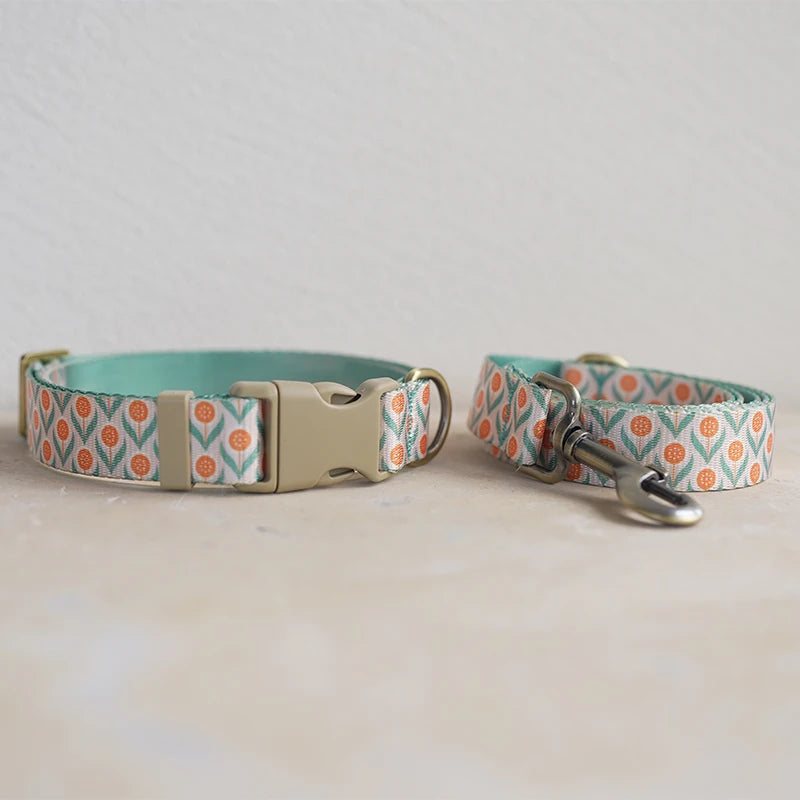 Collar + Leash Sets