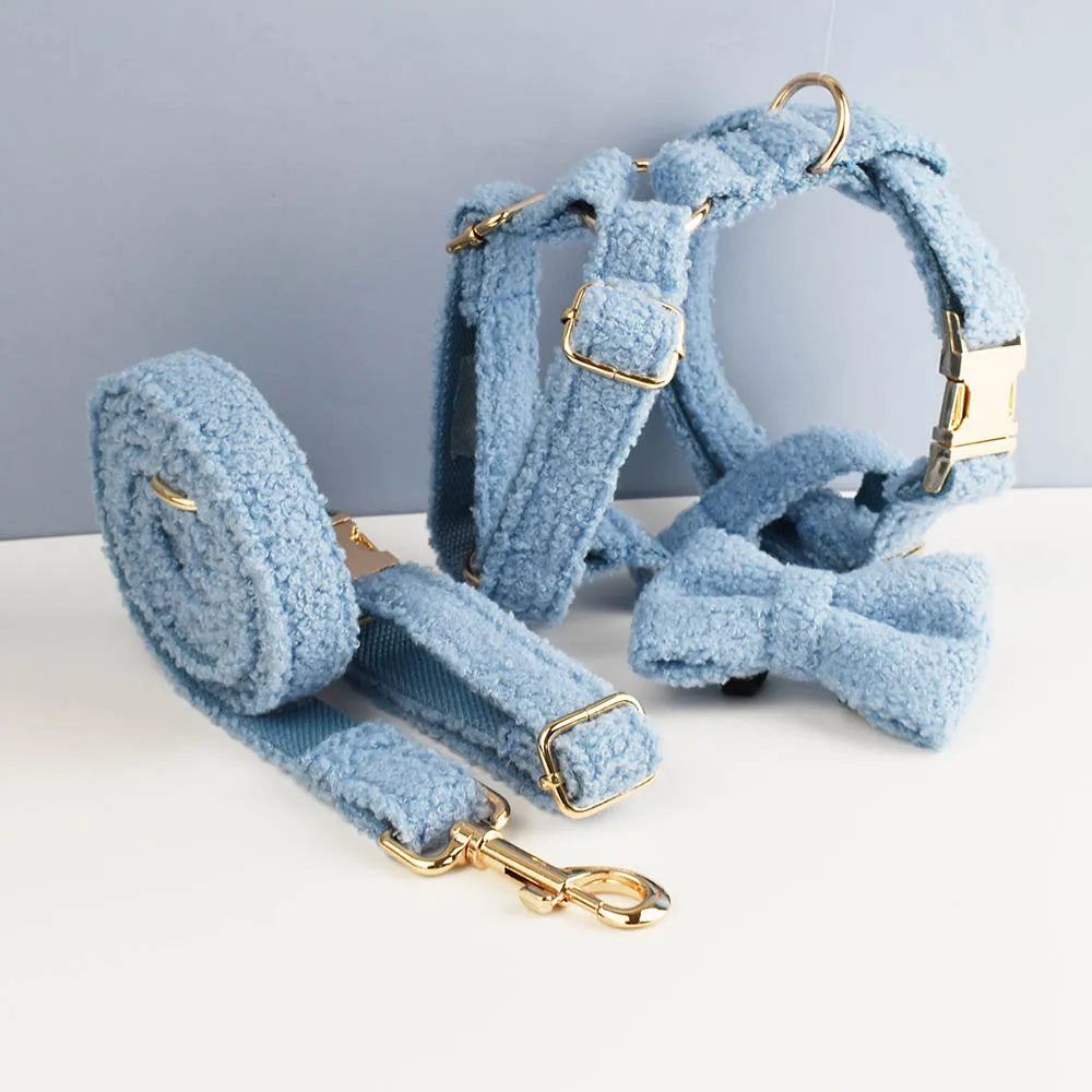 Blue Teddy