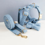 Blue Teddy