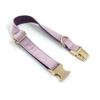 Light Purple Velvet