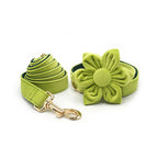 Avocado Green Velvet