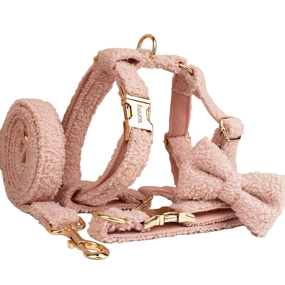 Pink Teddy