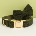 Green Teddy