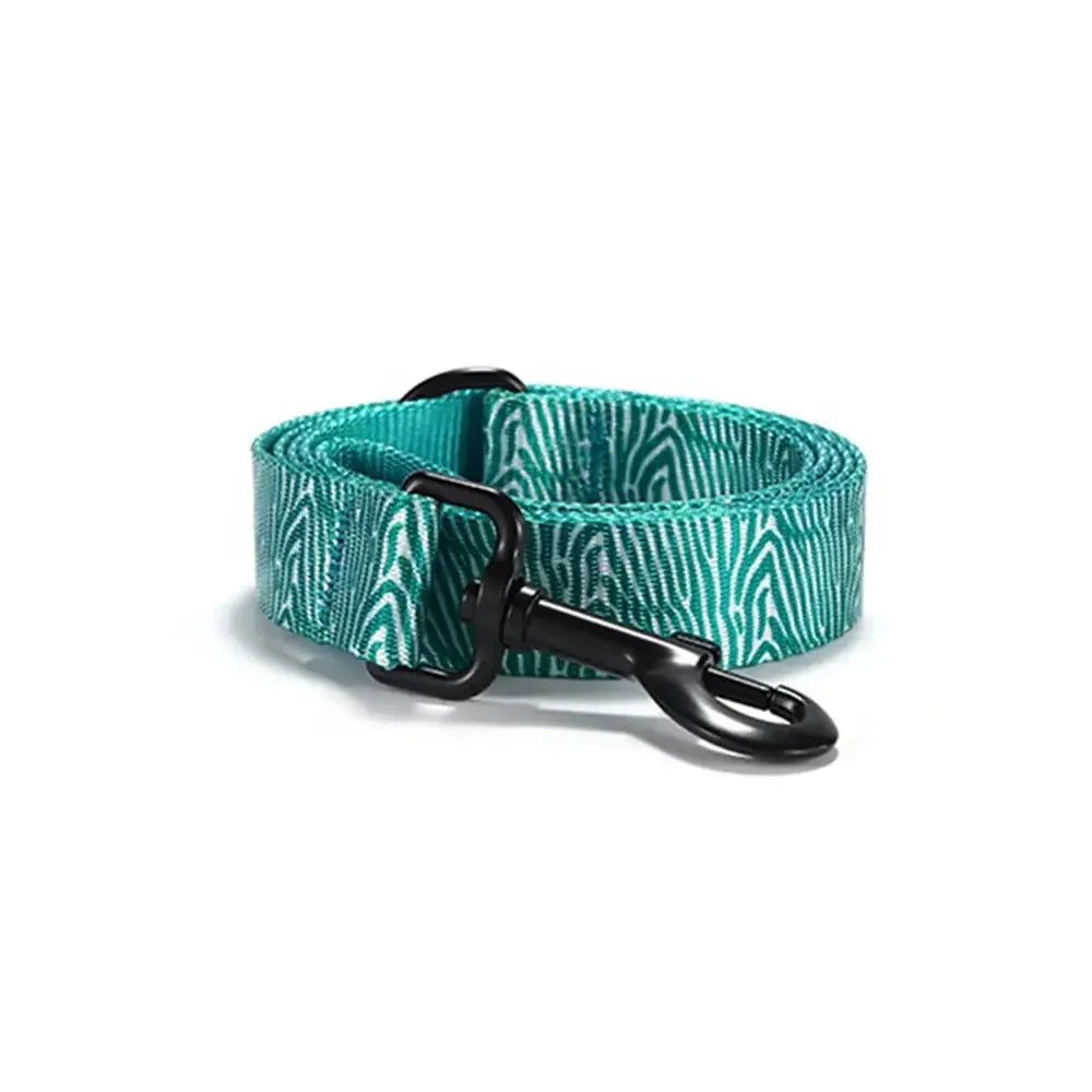 Aqua Zebra