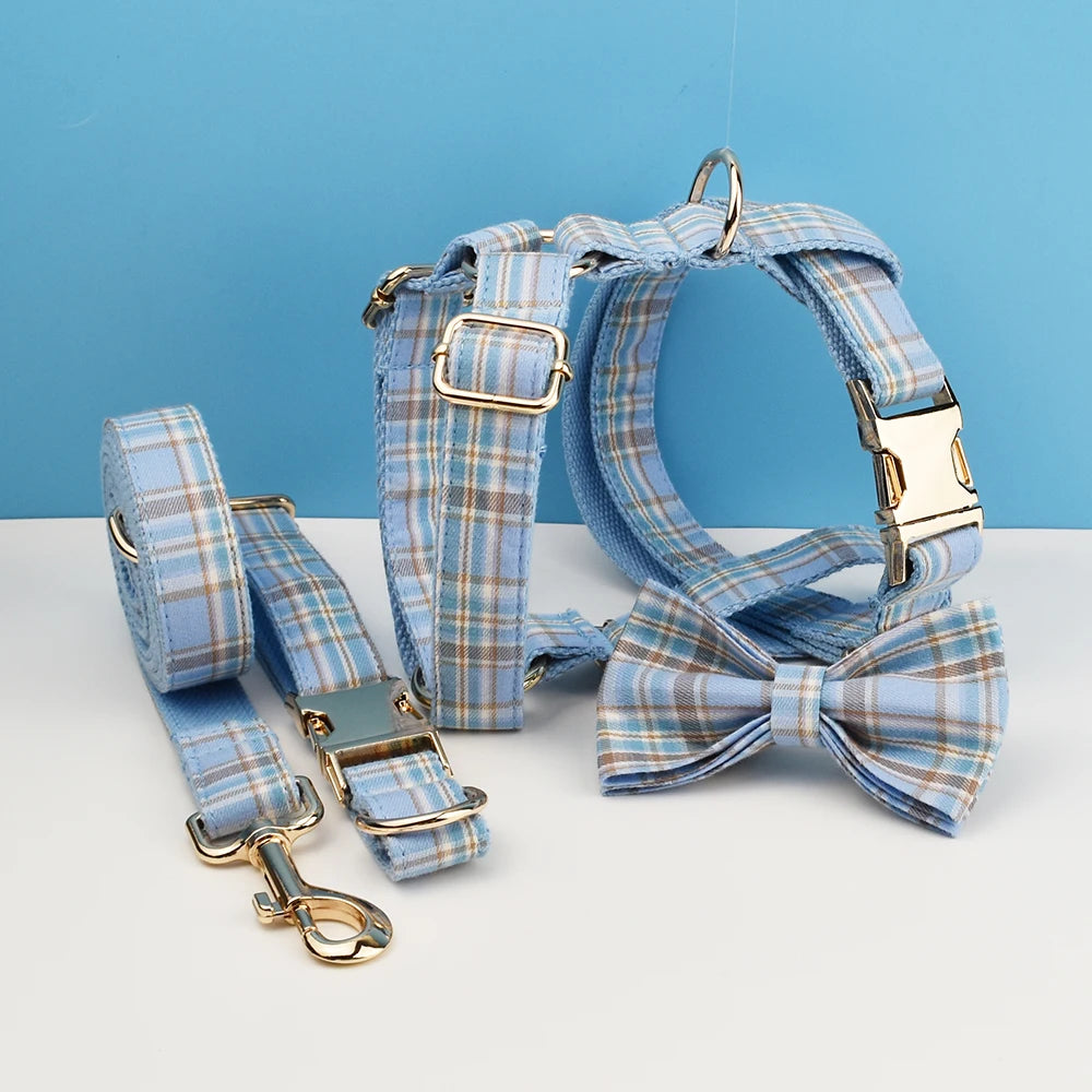Blue Plaid