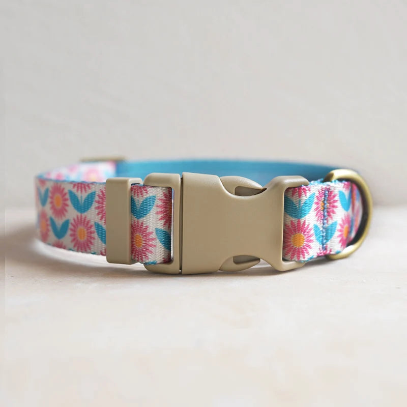 Collars