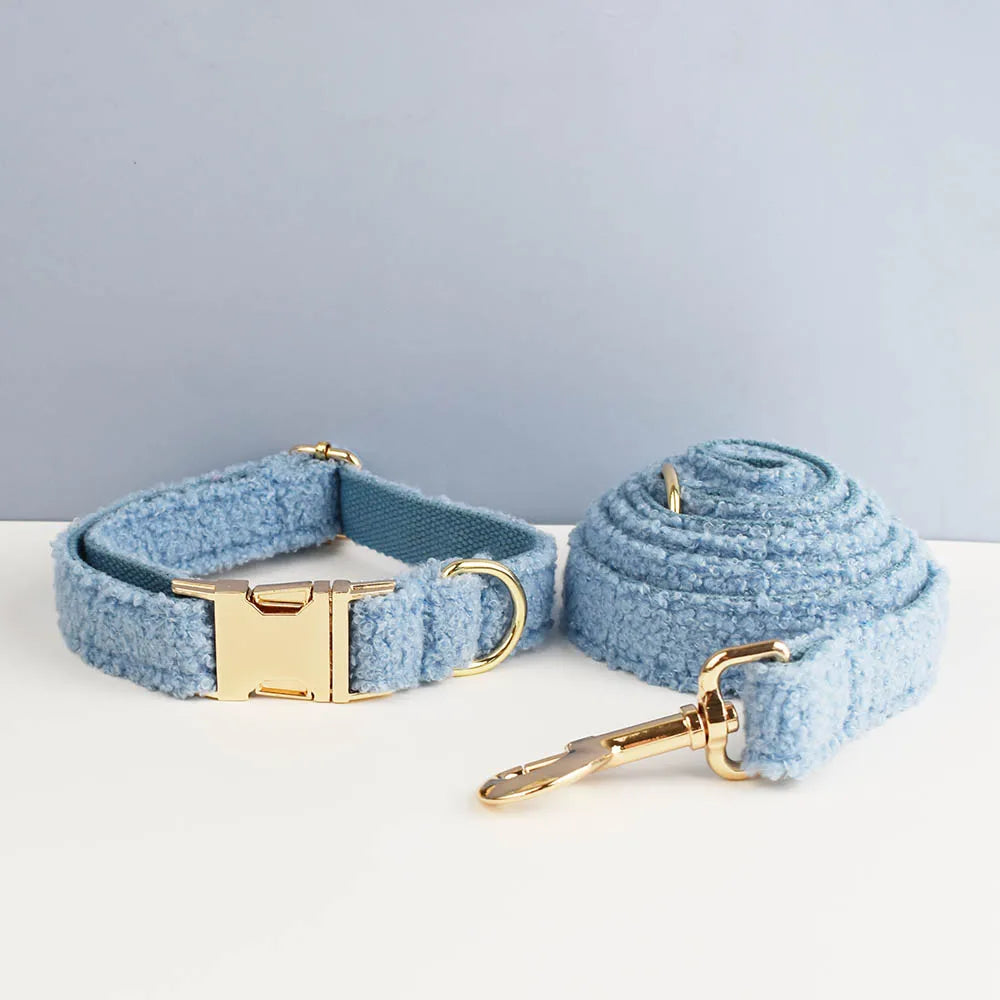 Blue Teddy